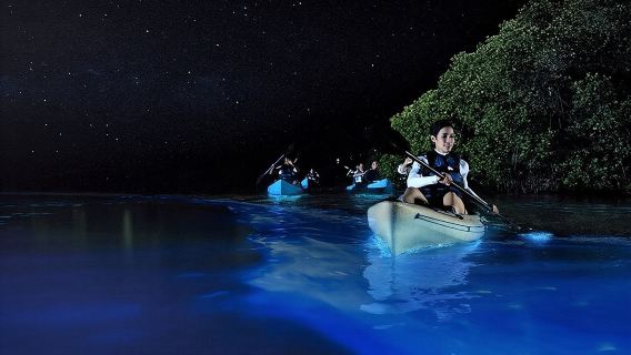 Excursión en kayak para observar la bioluminiscencia en la isla de Holbox