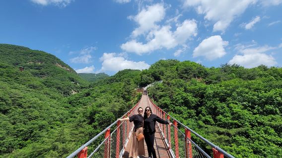 DMZ 프라이빗 투어 및 현수교 + 한국식 바비큐