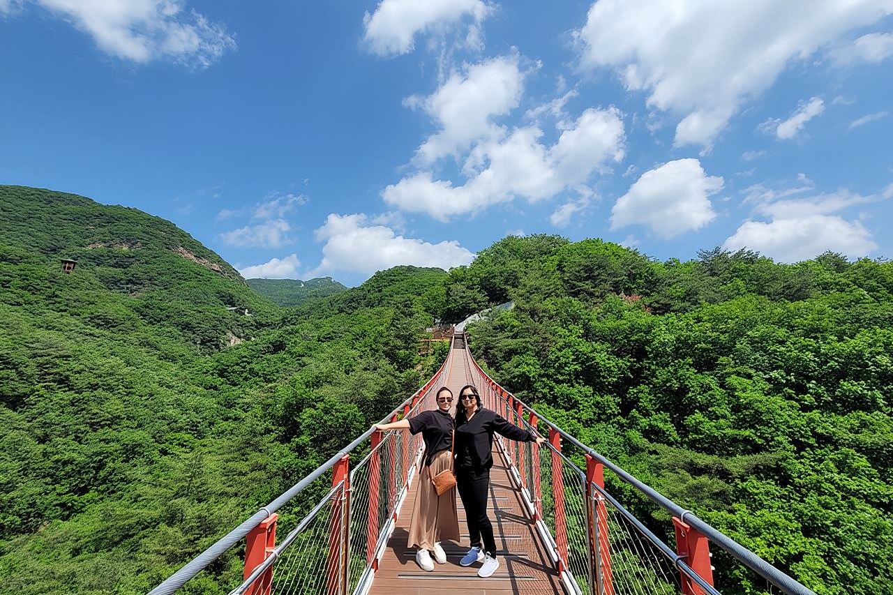 DMZ 프라이빗 투어 및 현수교 + 한국식 바비큐