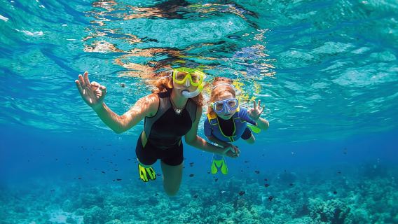 Albatros Beach Club Isla Mujeres Ticket