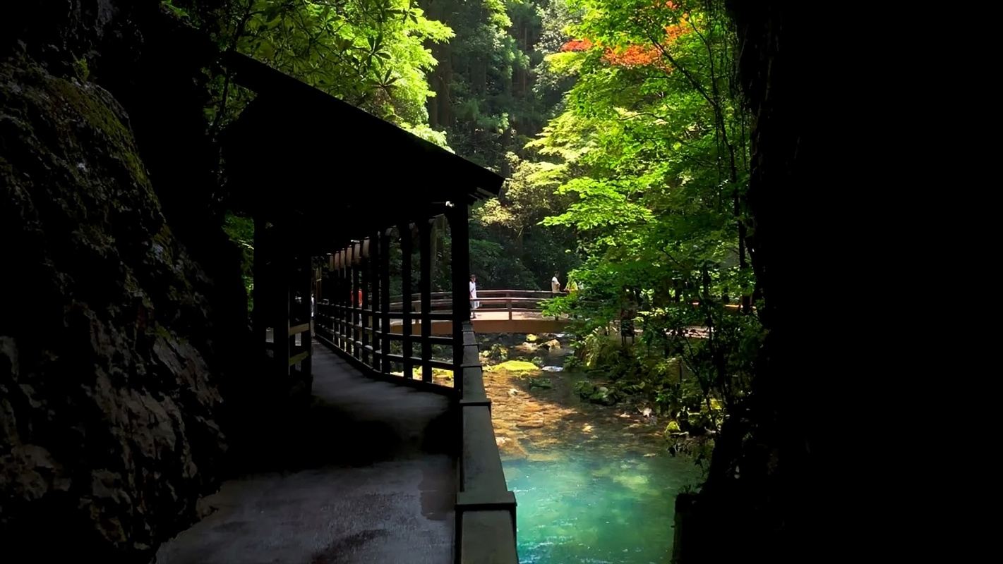 Japan Kitakyushu Yamaguchi Akiyoshi Cave + Motonosumi Inari Shrine + Tsunoshima Bridge one-day tour