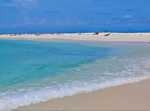 RIA美人魚島一日遊螢火蟲沙巴亞庇旅遊浮深潛