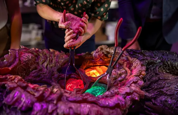 威塔工作室幕後之旅 - 奧克蘭