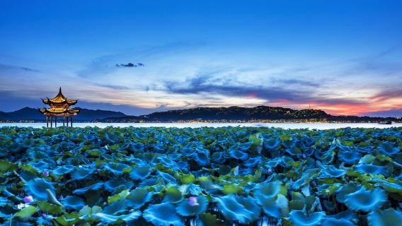杭州導遊服務 中文/英文人工講解 可選雷峯塔/靈隱寺/西湖風景區等景點陪同講解 一對一服務 免費定制線路