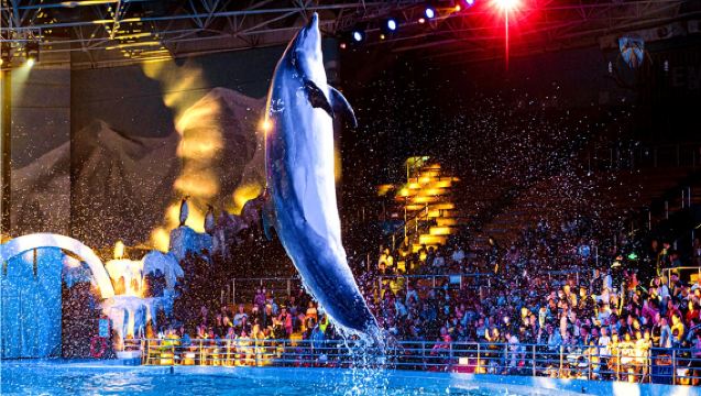 Qingdao to Optional Destinations Day Tour by Private Car: Enjoy City's Unmissable Highlights