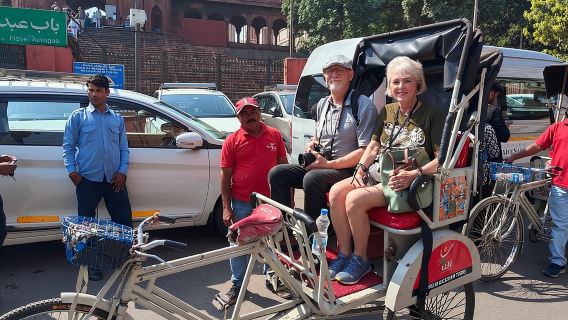 Recorrido por la antigua y nueva Delhi: opciones de medio día o día completo disponibles