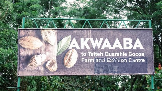 Accra: Cocoa Farm & Waterfalls Tour