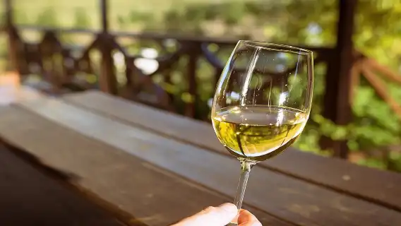 ทัวร์เต็มวัน Stellenbosch Winelands ที่ออกแบบตามสั่ง