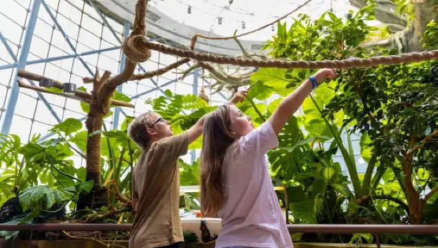 綠色星球－杜拜獨特的室內雨林