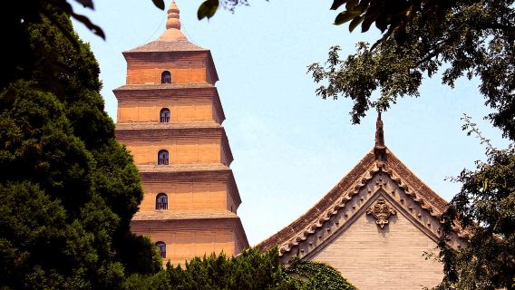 Recorrido privado a pie por el budismo en la Gran Pagoda del Ganso Salvaje