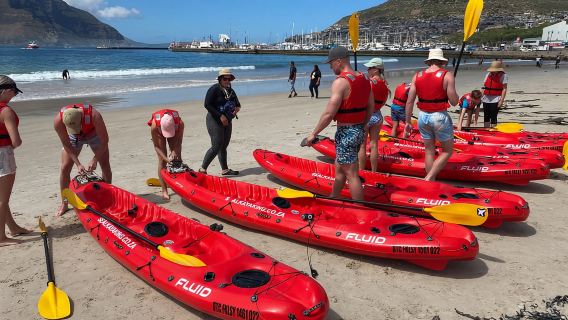 เคปทาวน์: ทัวร์พายเรือคายัคพร้อมไกด์