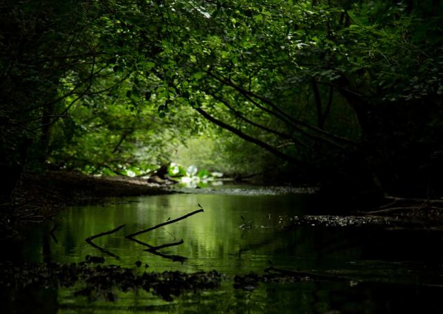 Erleben Sie den Skutarisee in 1 Stunde!