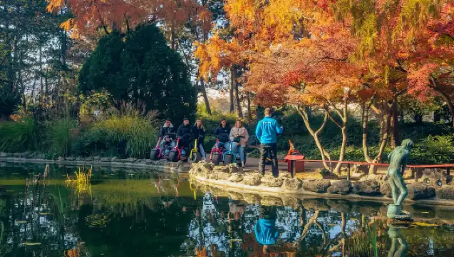 Budapest: Small-Group MonsteRoller E-Scooter Tours