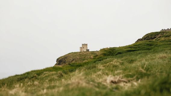 Dari Galway: Cliffs of Moher dan The Burren Guided Day Trip