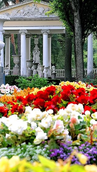 однодневный тур в Павловский парк и Екатерининский дворец в России