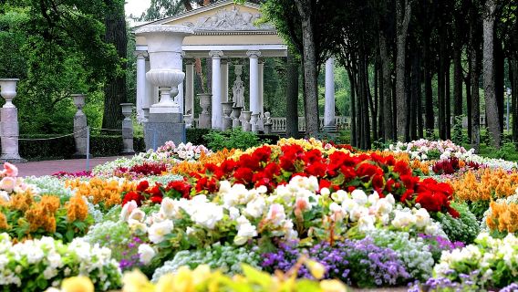 Tour di un giorno al Parco Forestale di Pavlovsk e al Palazzo di Caterina in Russia