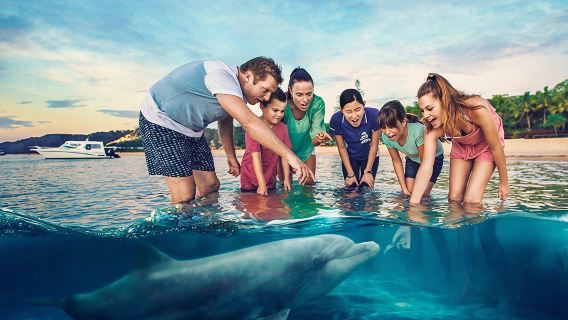 澳洲布里斯本莫頓島摩頓海豚島一日遊【餵海豚/浮潛/滑沙】
