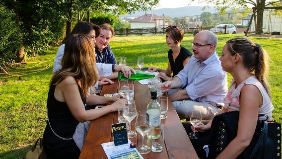 Countryside Half Day Wine Tour near Vienna