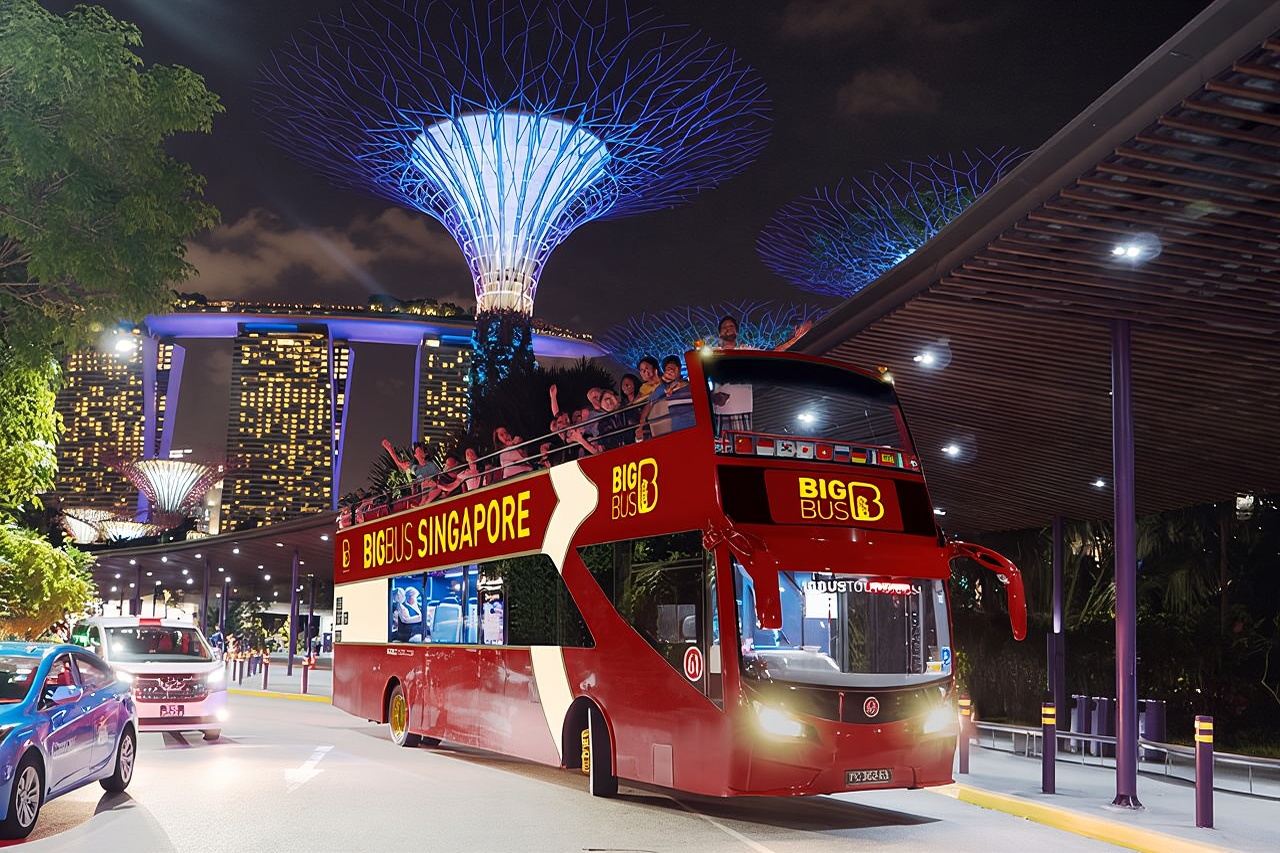 Big Bus Singapore Night Tour with Gardens by the Bay Light Show