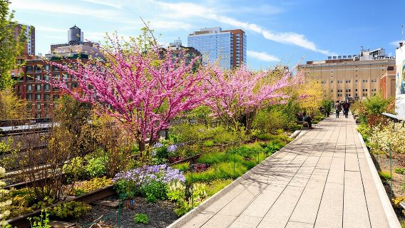 High Line and Chelsea Small Group Tour