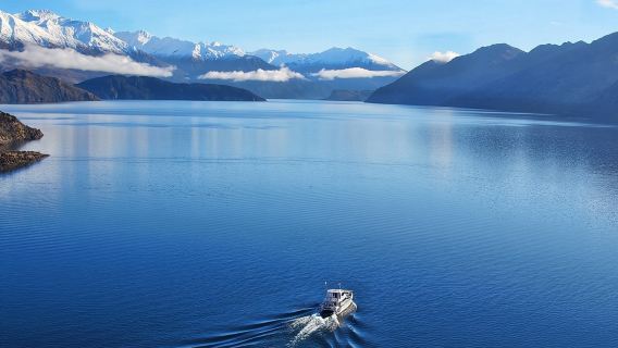 Круиз по острову Стивенсонс и прогулка на природе