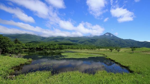 3hours Nature Guided Tour in Shiretoko Five Lakes