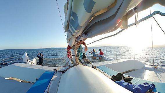 Lanzarote sunset cruise with dolphin watching