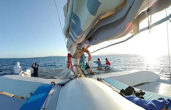 蘭薩羅特島日落郵輪之旅連觀賞海豚