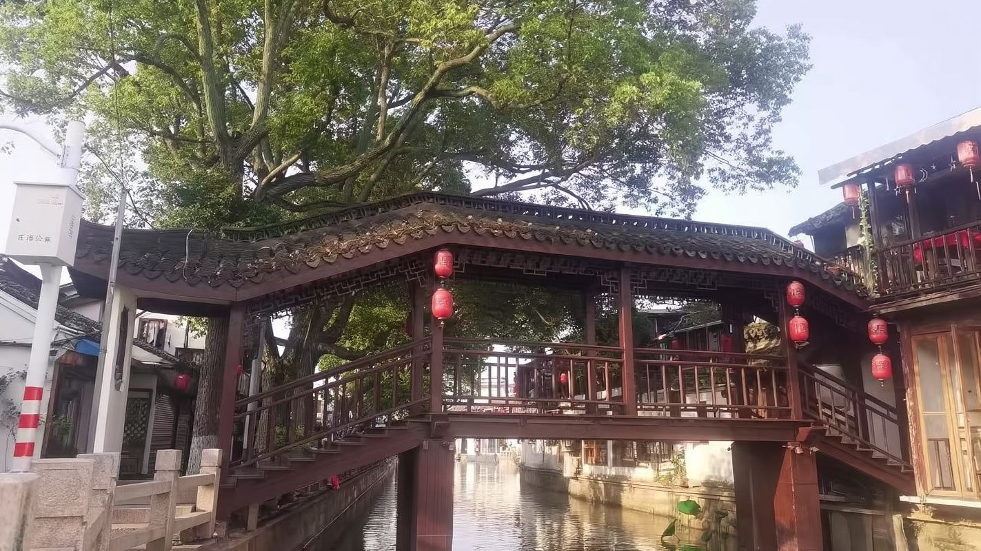 Shanghai Private Day Tour+Zhujiajiao Ancient Water Town+Local Lunch