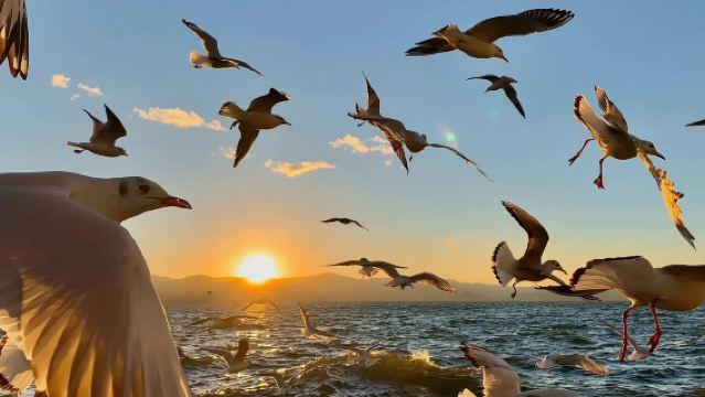 Yunnan: Lawatan Sehari di Kunming (Shilin + Tasik Dian + Lokasi Penggambaran Journey to the West) Pakej Berkumpulan|Boleh Disesuaikan/JY