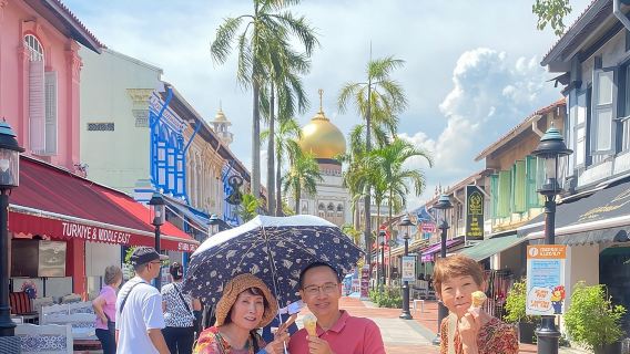 ทัวร์รถยนต์ส่วนตัวในเมืองสิงคโปร์ (4 ชั่วโมงหรือ 8 ชั่วโมง)