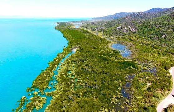瑪格內特島：西海岸生態探險