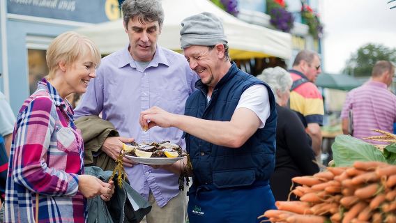 Excursión de un día a los Acantilados de Moher y la ciudad de Galway desde Dublín