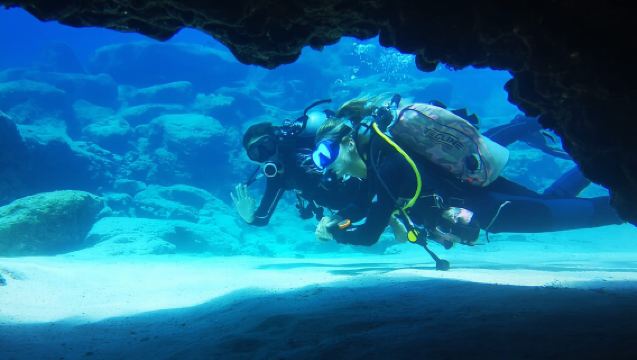 Local Guided Dives (for certified/licensed divers)