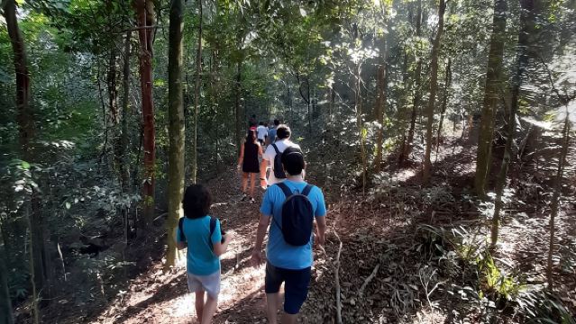 Tijuca National Park and all its wonders