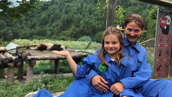 Panda Keeper Volunteer Experience in Dujiangyan/Wolong Panda Base All Inclusive Day Tour