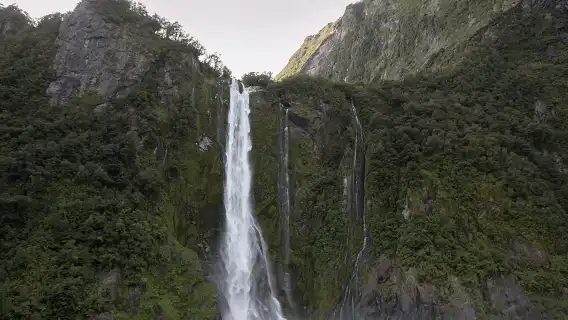 Queenstown Milford Sound 1-day tour | Panoramic bus + cruise + optional lunch