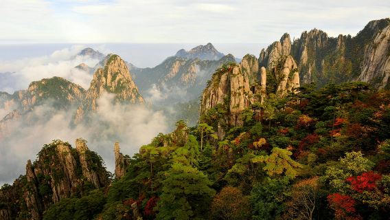 【私家團】黃山+呈坎+夜遊非遺魚燈一日|導遊+專車|純玩