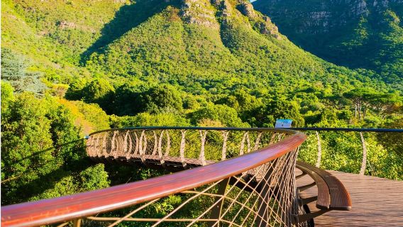 Cape Town: Ngày tham quan Thủy cung, Tour ngắm vịt và Vườn bách thảo