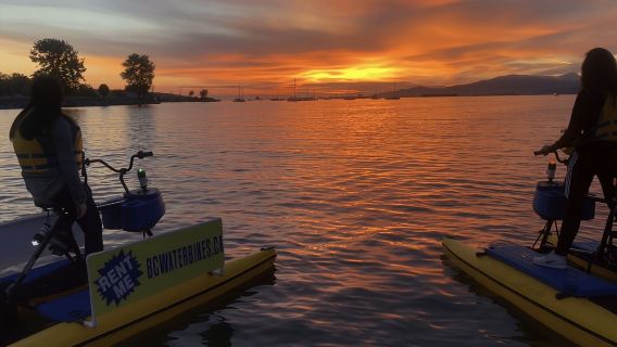 Vancouver: Water Bike Rental in False Creek