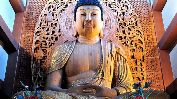 From Fukuoka: Private Shrine & Food Tour w/ English Guide