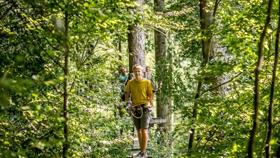 Seilpark Interlaken: Kletterabenteuer mit Eintrittskarte
