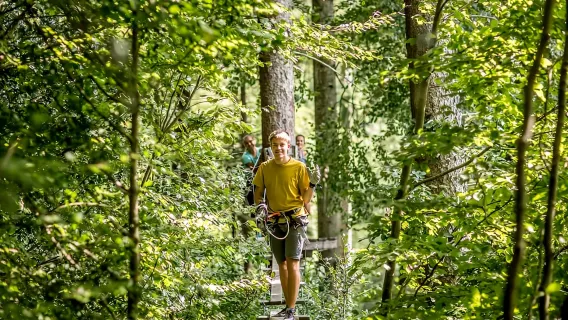 Seilpark Interlaken: Kletterabenteuer mit Eintrittskarte