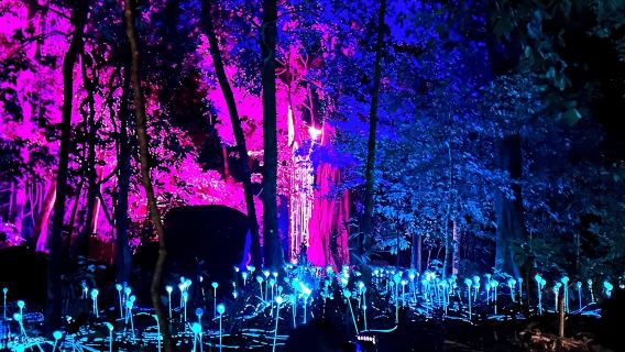 Langkawi: Dream Forest Langkawi Standard Admission Ticket