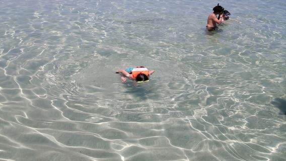 Veracruz: Snorkeling Adventure at Isla de En Medio