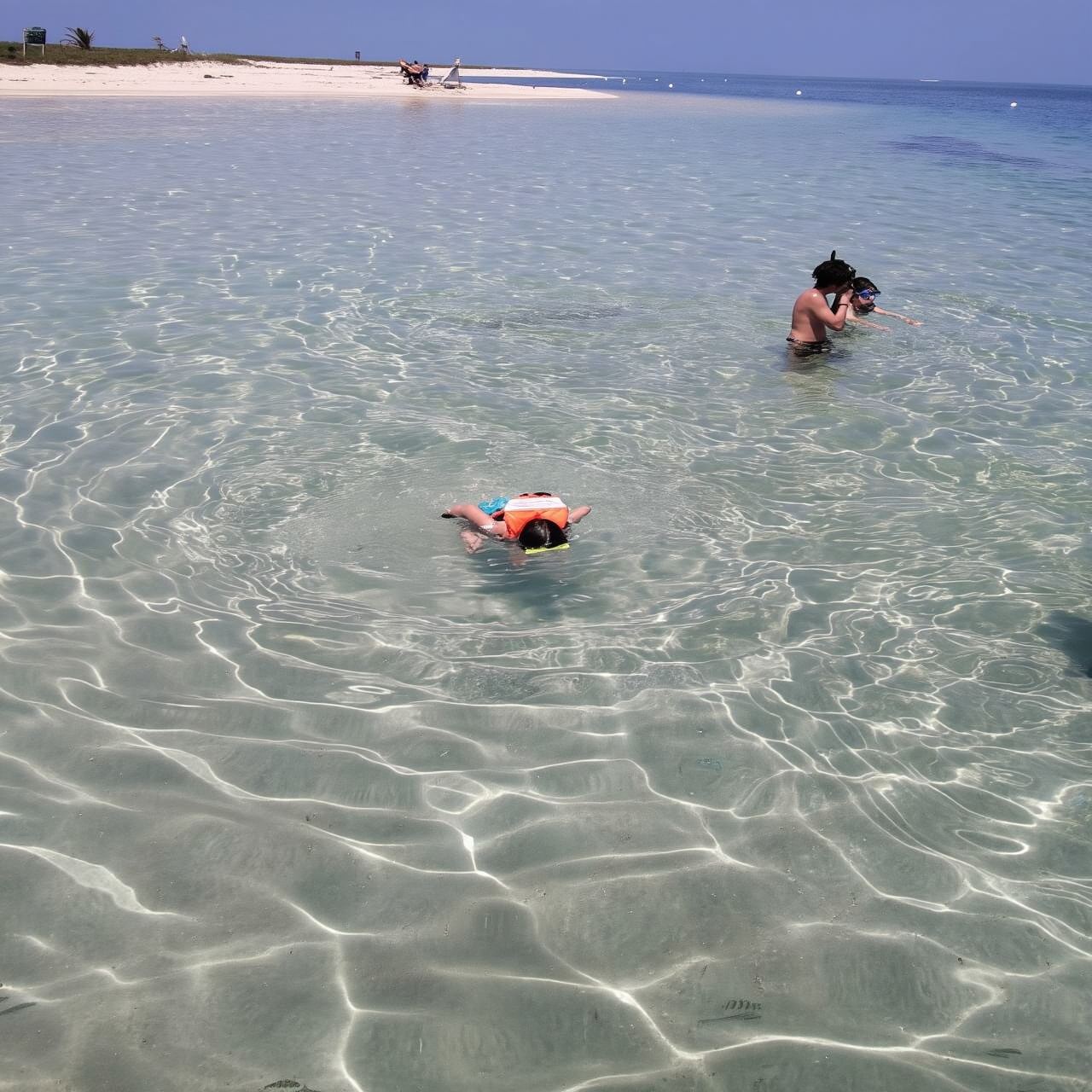 เวราครูซ: ผจญภัยดำน้ำตื้นที่ Isla de En Medio