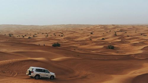 Ras Al Khaimah Desert Safari with Shared Transfer/Private Charter Option [Hotel Pick-up & Drop-off] Day Tours 7
