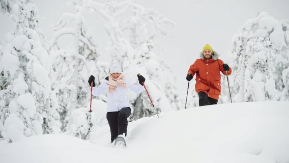 Levi: Raquetas de nieve panorámicas en la cima de Levi Fell