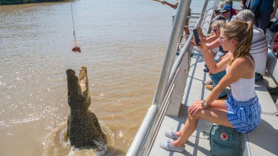 kapal pesiar Petualangan Buaya Liar Sungai Adelaide Darwin Wilayah Utara