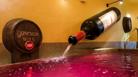 Tokyo|Taman Air Panas Xiaoyong + Muzium Seni Ukiran Hutan + Torii Keamanan|Perjalanan sewaan peribadi boleh disesuaikan